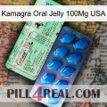Kamagra Oral Jelly 100Mg Usa new02